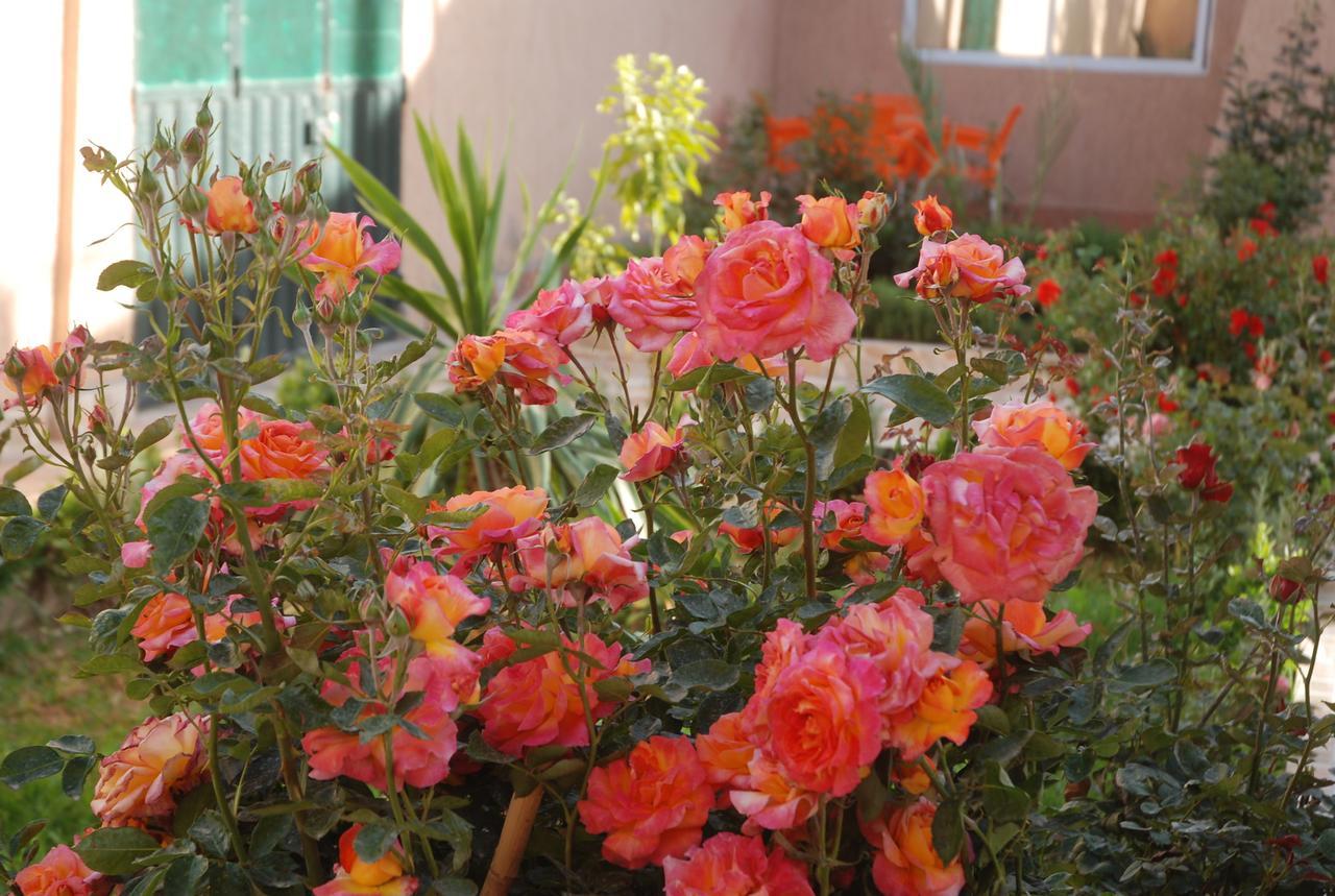 Kasbah Dounia Hotel Kerrando Bagian luar foto